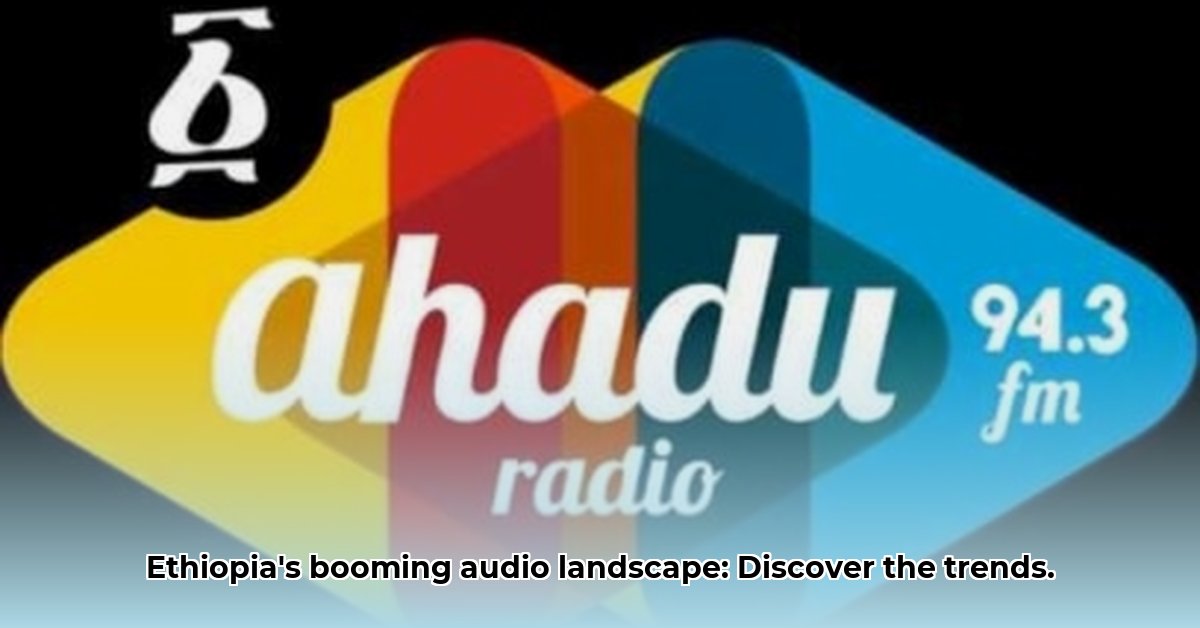 ethiopian-tv-and-fm-radio